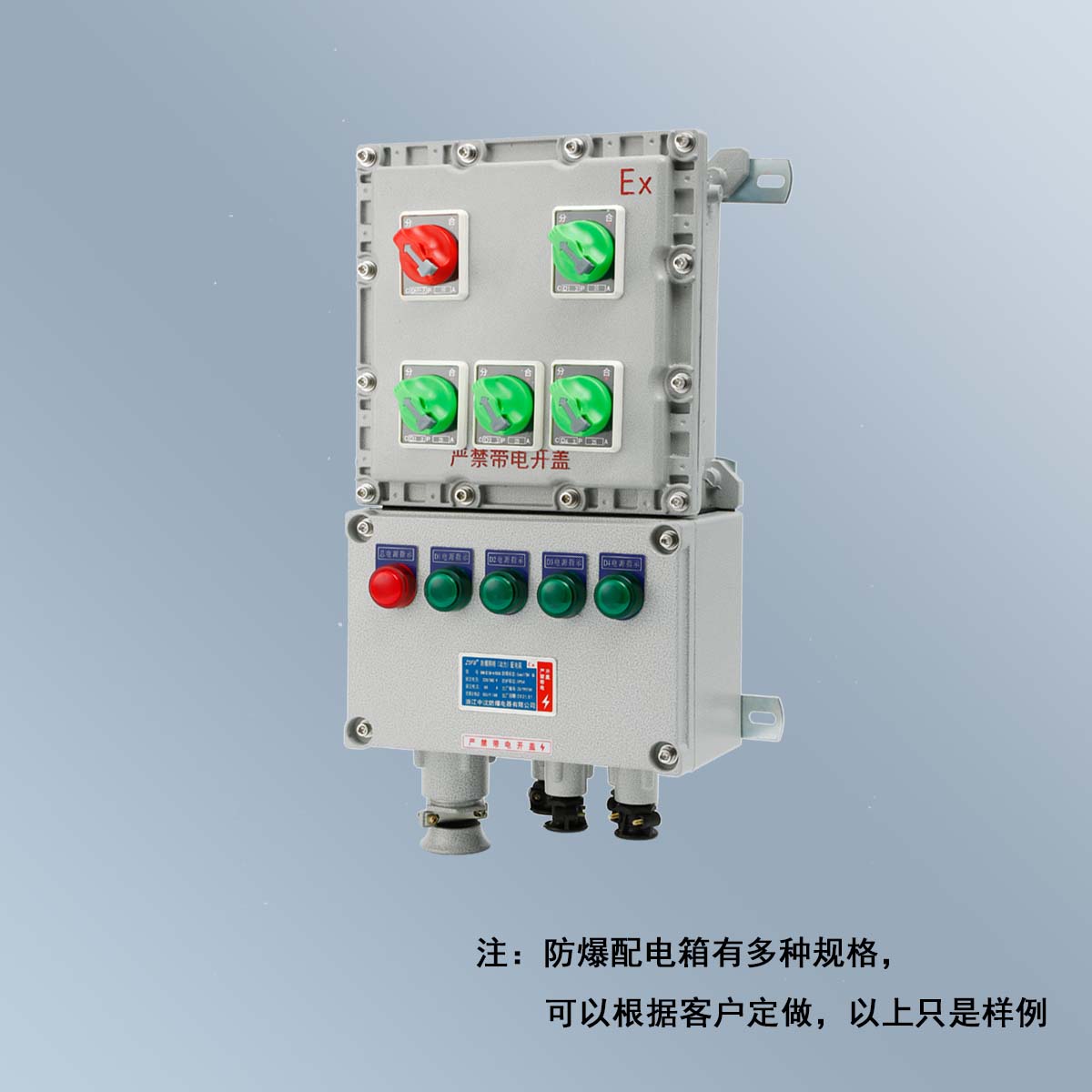 BXM(D)58 系列防爆照明(動(dòng)力)配電箱 (ⅡB、ⅡC、DIP)